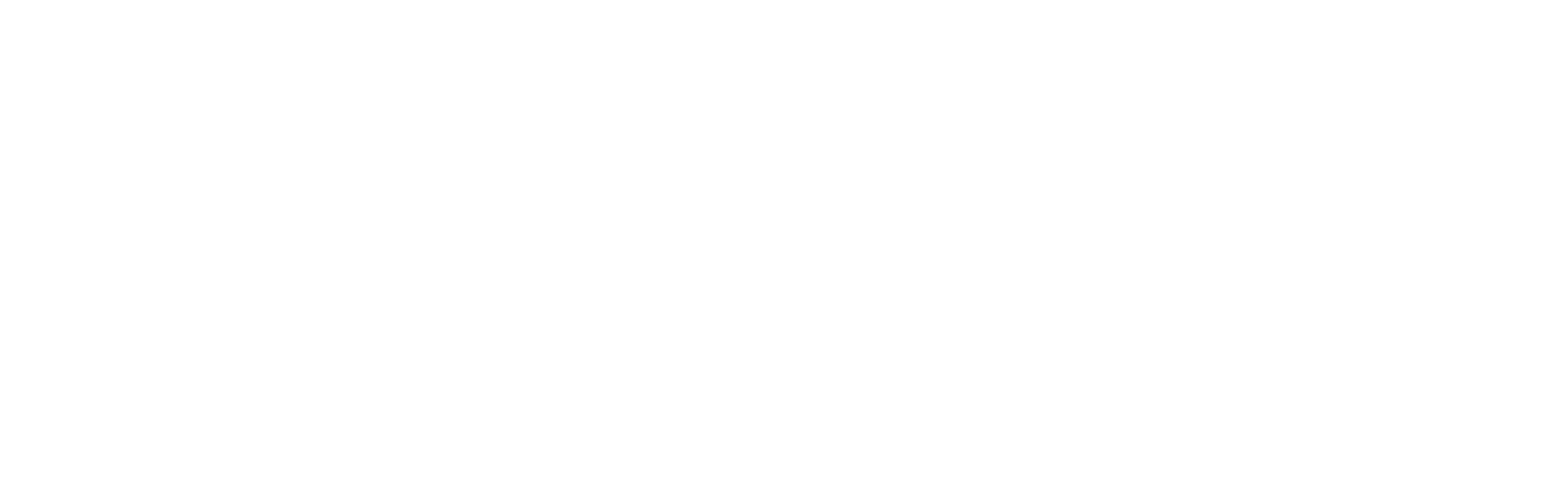 SMM Panel Pro Logo